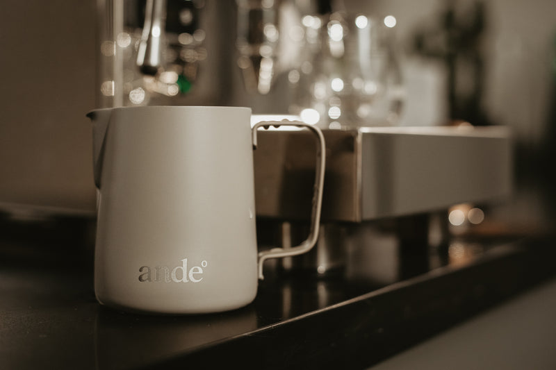 andeº pitcher